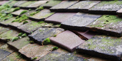 Lower Weald roof repair costs